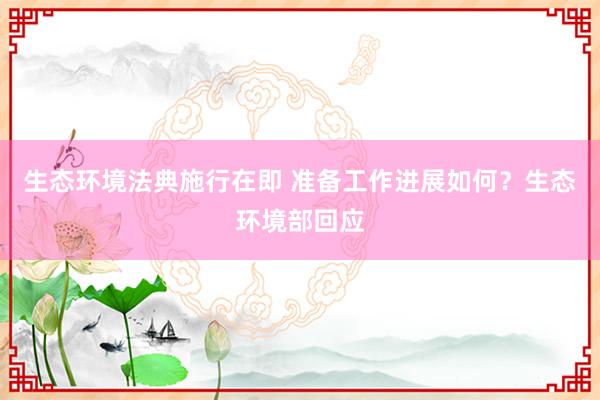 生态环境法典施行在即 准备工作进展如何？生态环境部回应