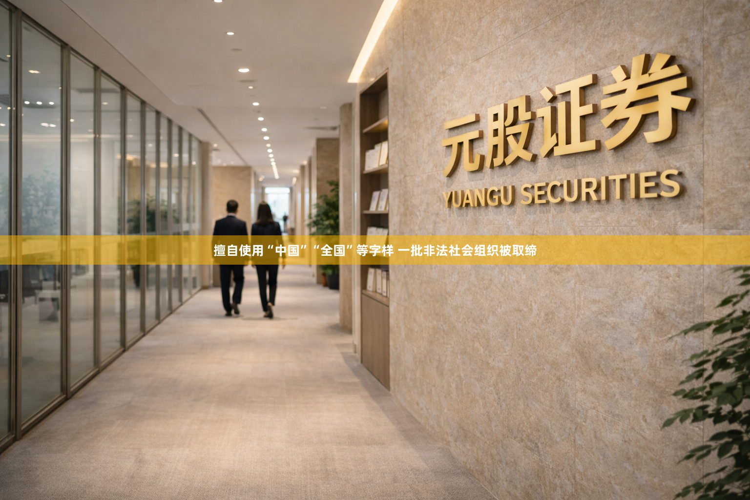 擅自使用“中国”“全国”等字样 一批非法社会组织被取缔
