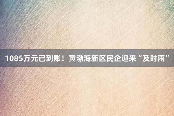 1085万元已到账！黄渤海新区民企迎来“及时雨”