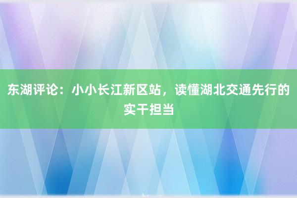 东湖评论：小小长江新区站，读懂湖北交通先行的实干担当