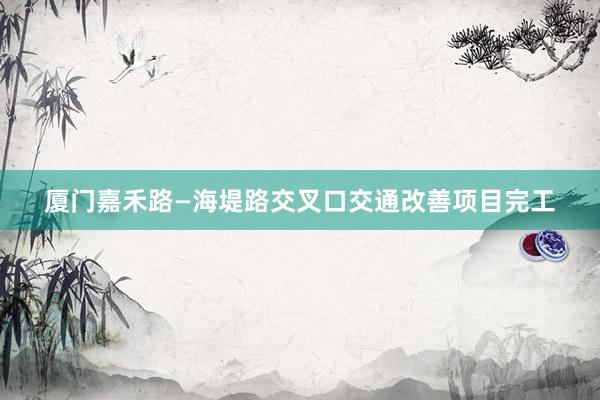 厦门嘉禾路—海堤路交叉口交通改善项目完工