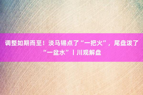 调整如期而至！淡马锡点了“一把火”，尾盘泼了“一盆水”丨川观解盘