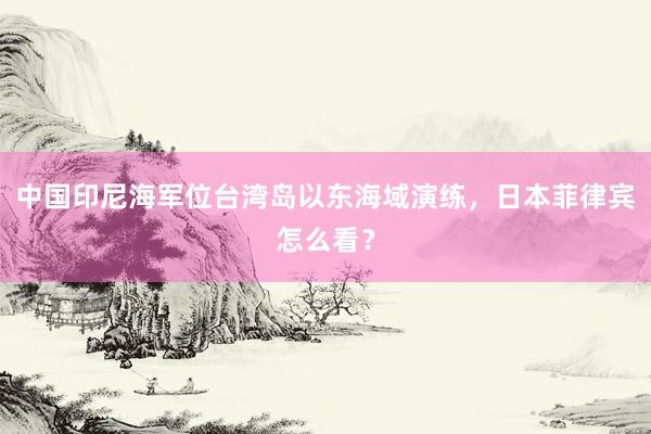 中国印尼海军位台湾岛以东海域演练，日本菲律宾怎么看？