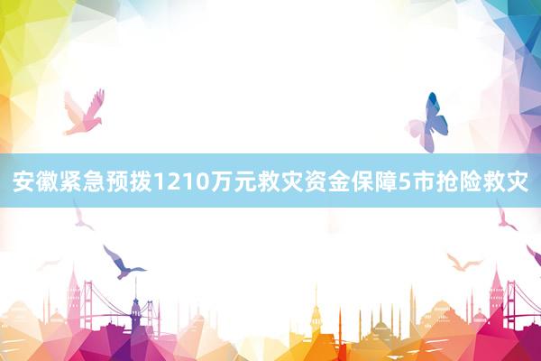安徽紧急预拨1210万元救灾资金保障5市抢险救灾