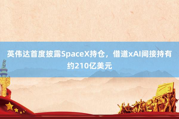 英伟达首度披露SpaceX持仓，借道xAI间接持有约210亿美元