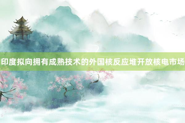 印度拟向拥有成熟技术的外国核反应堆开放核电市场