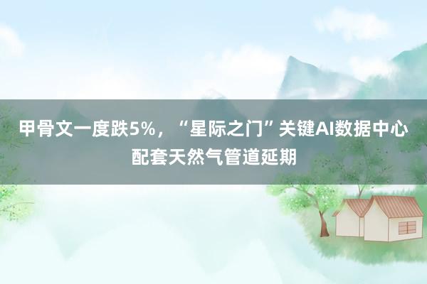 甲骨文一度跌5%，“星际之门”关键AI数据中心配套天然气管道延期