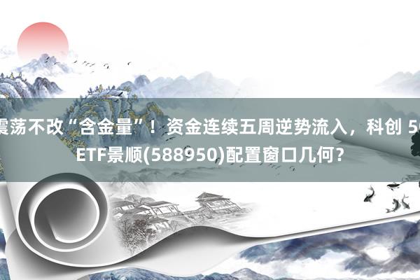 震荡不改“含金量”！资金连续五周逆势流入，科创 50ETF景顺(588950)配置窗口几何？