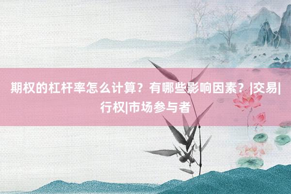 期权的杠杆率怎么计算？有哪些影响因素？|交易|行权|市场参与者