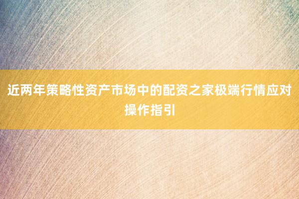 近两年策略性资产市场中的配资之家极端行情应对操作指引