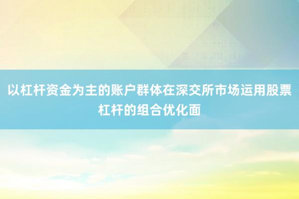 以杠杆资金为主的账户群体在深交所市场运用股票杠杆的组合优化面