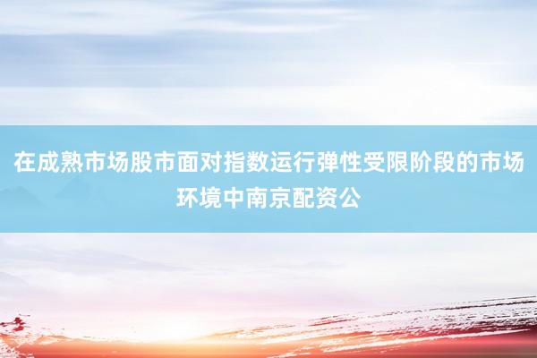 在成熟市场股市面对指数运行弹性受限阶段的市场环境中南京配资公