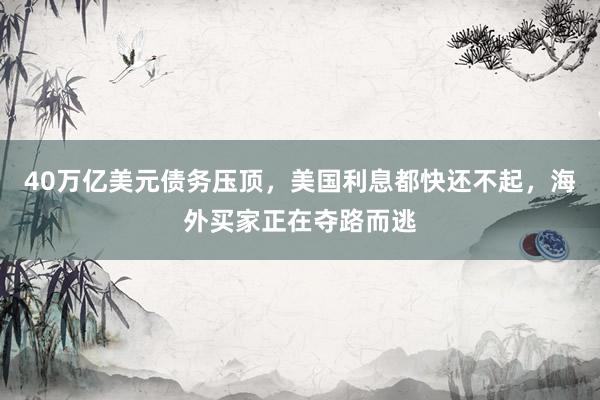 40万亿美元债务压顶，美国利息都快还不起，海外买家正在夺路而逃