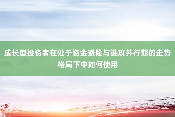 成长型投资者在处于资金避险与进攻并行期的走势格局下中如何使用
