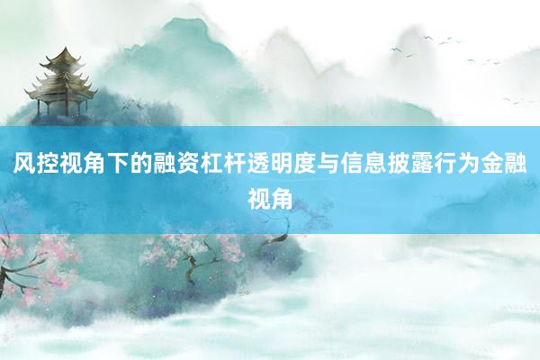 风控视角下的融资杠杆透明度与信息披露行为金融视角