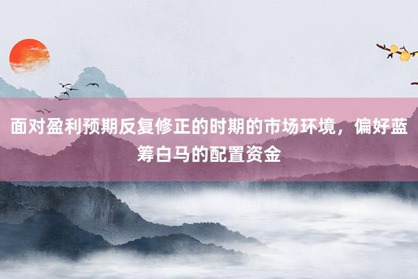 面对盈利预期反复修正的时期的市场环境，偏好蓝筹白马的配置资金