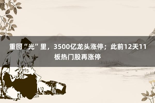 重回“光”里，3500亿龙头涨停；此前12天11板热门股再涨停