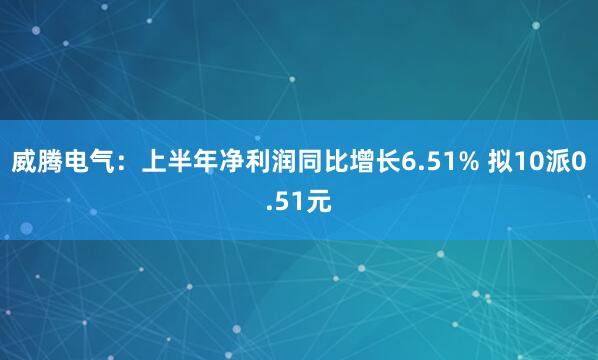威腾电气：上半年净利润同比增长6.51% 拟10派0.51元