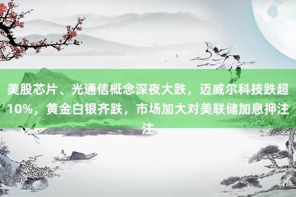 美股芯片、光通信概念深夜大跌，迈威尔科技跌超10%，黄金白银齐跌，市场加大对美联储加息押注