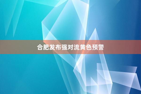 合肥发布强对流黄色预警