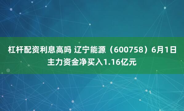杠杆配资利息高吗 辽宁能源（600758）6月1日主力资金净买入1.16亿元