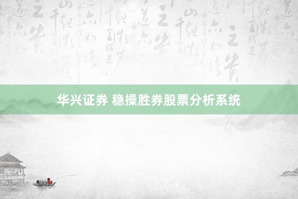 华兴证券 稳操胜券股票分析系统