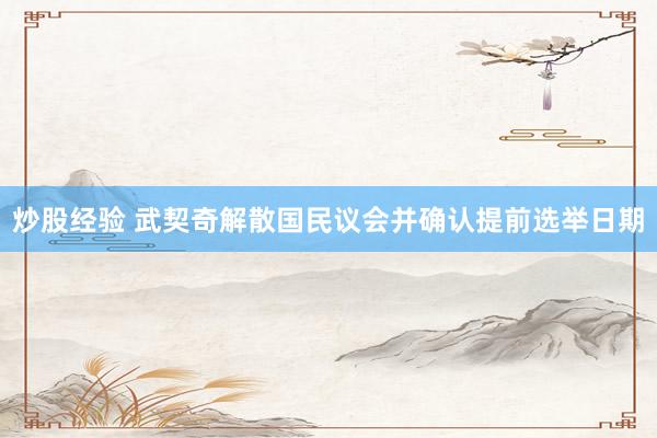 炒股经验 武契奇解散国民议会并确认提前选举日期