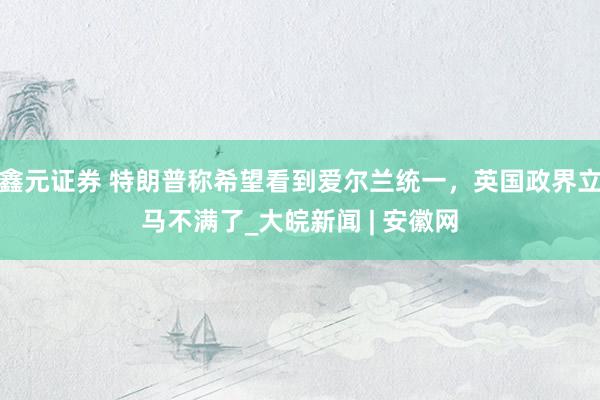 鑫元证券 特朗普称希望看到爱尔兰统一，英国政界立马不满了_大皖新闻 | 安徽网