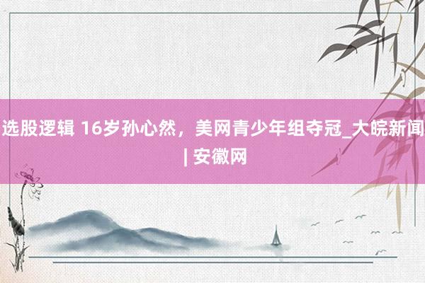 选股逻辑 16岁孙心然，美网青少年组夺冠_大皖新闻 | 安徽网