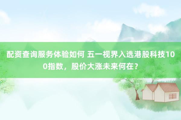 配资查询服务体验如何 五一视界入选港股科技100指数，股价大涨未来何在？