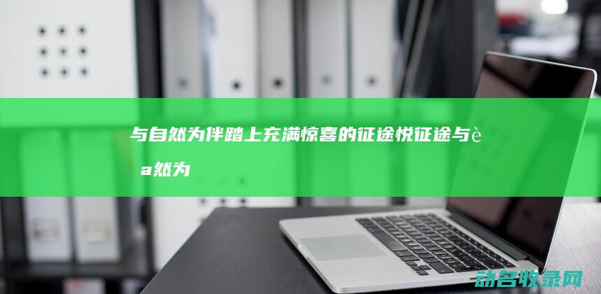 与自然为伴 踏上充满惊喜的征途 悦征途 (与自然为伴踏实作文)