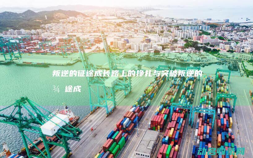 叛逆的征途 成长路上的挣扎与突破 (叛逆的征途成语大全)
