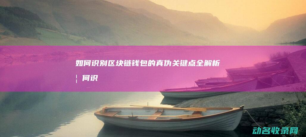 如何识别区块链钱包的真伪 关键点全解析 (如何识别区块链是否是传销)