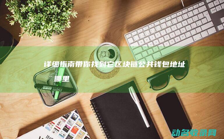 详细指南带你找到它 区块链公共钱包地址在哪里 (详细指南带你学英语)