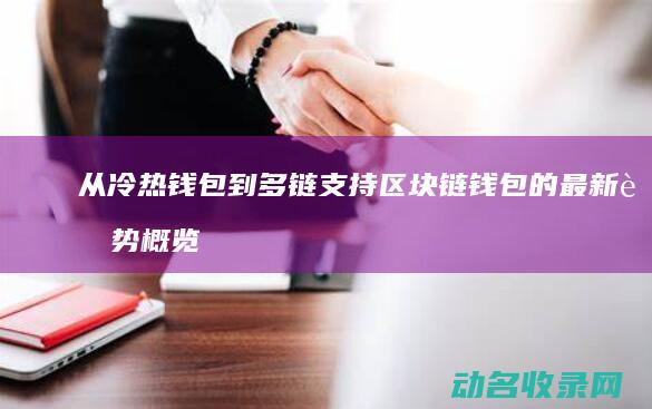 从冷热钱包到多链支持 区块链钱包的最新趋势概览 (冷钱包到热钱包)