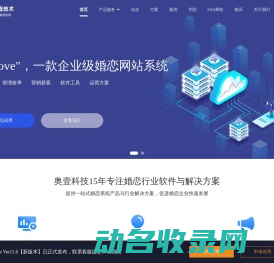 婚恋系统
