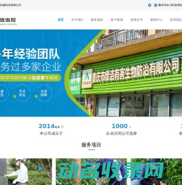 重庆辰领科技