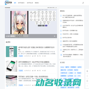 专业软件开发与解决方案提供商